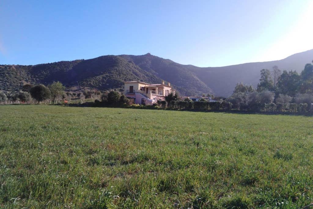 Agriturismo Donnolu Tertenìa Kültér fotó