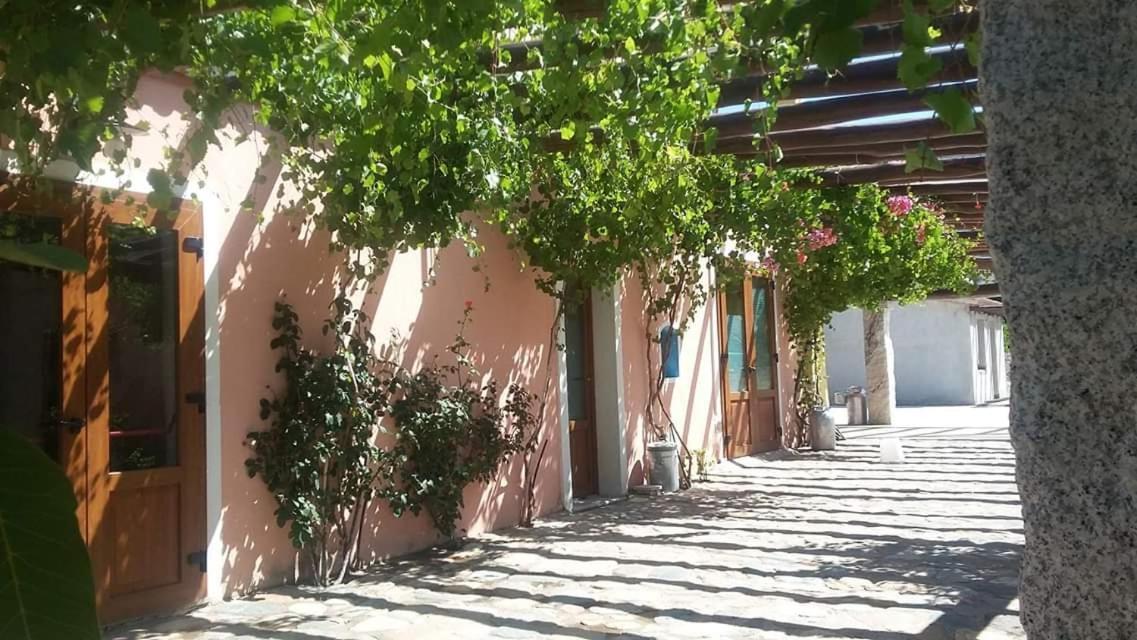 Agriturismo Donnolu Tertenìa Kültér fotó
